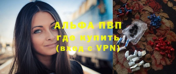 прущие грибы Беломорск